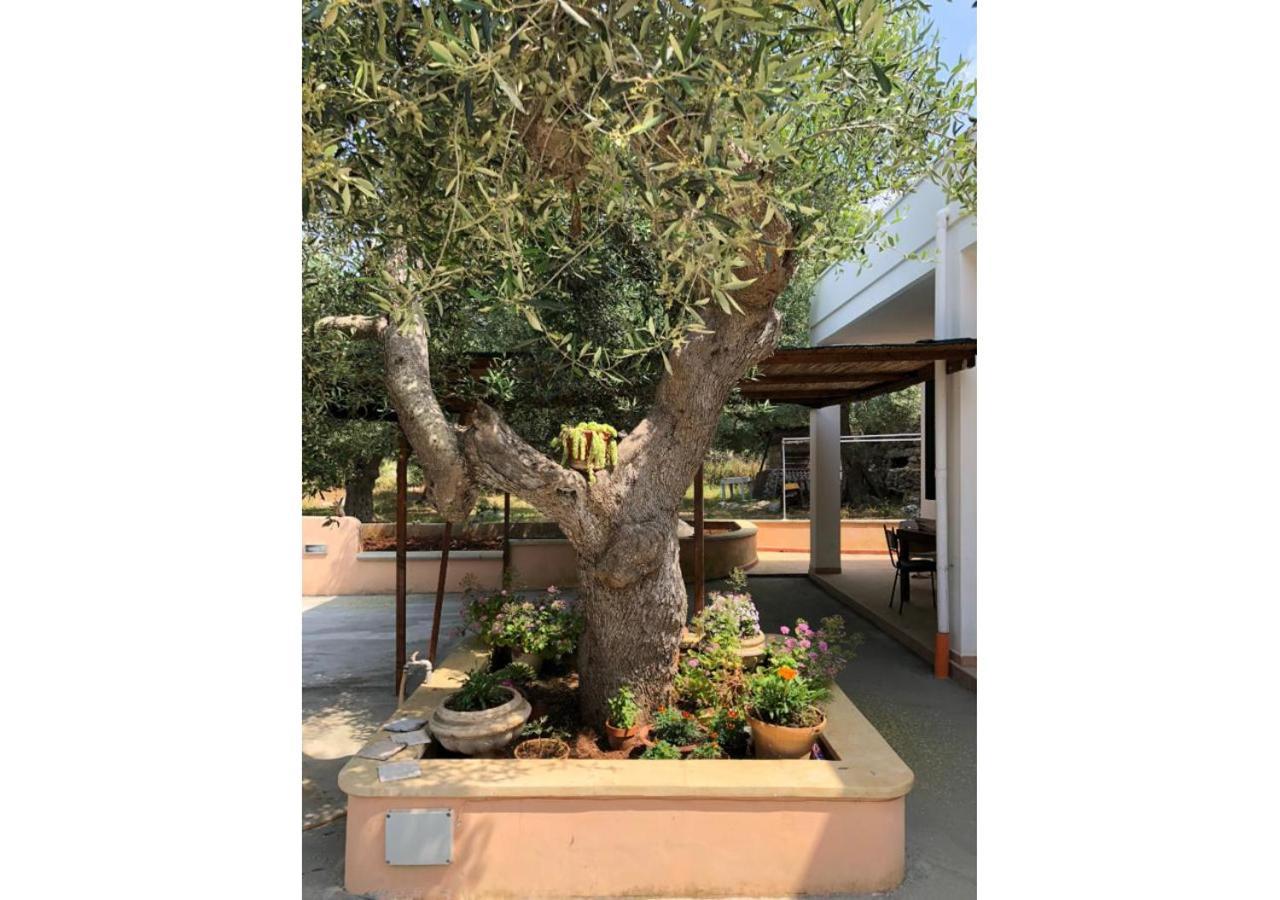 Casa La Manna By A&B Homes Leuca Santa Maria di Leuca Екстериор снимка